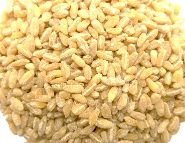 Iraqi Habiya